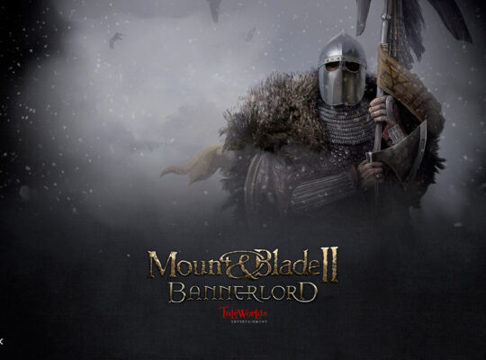 Mount and blade 2