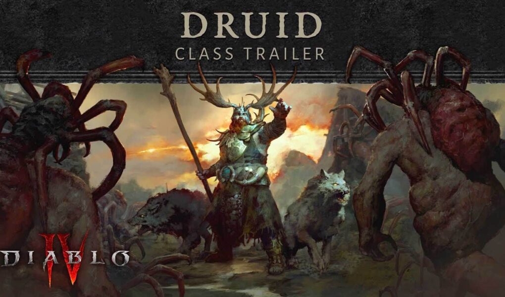 Diablo 4, Druid