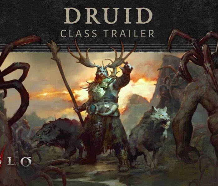 Diablo 4, Druid