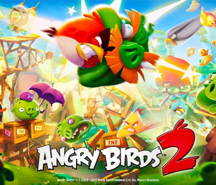 Sega Acquire Angry Bird