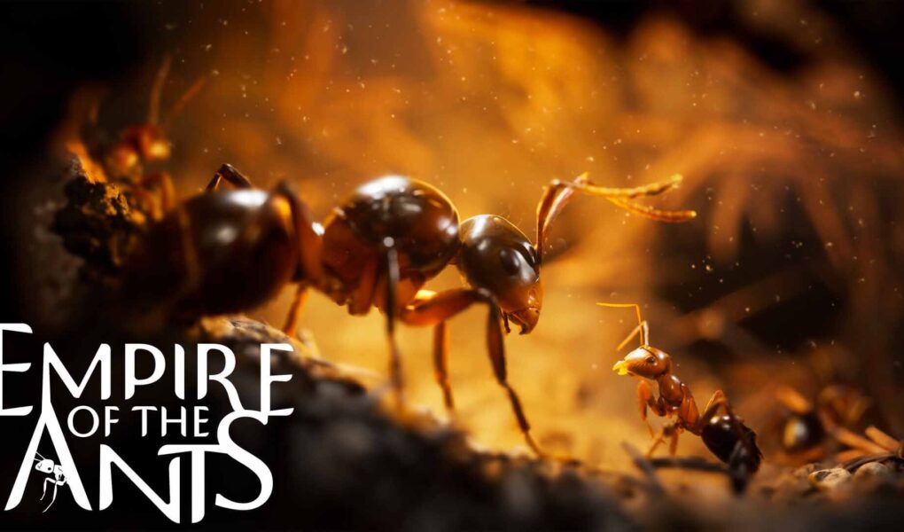 Empire of the Ants