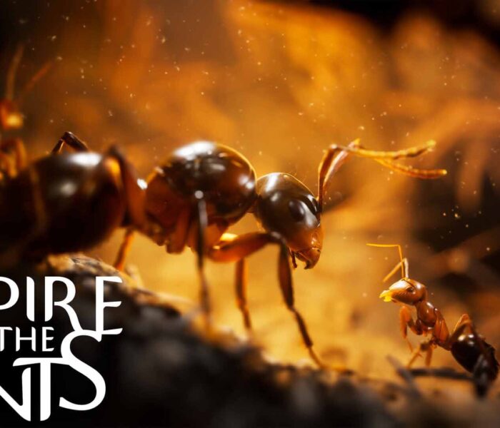 Empire of the Ants